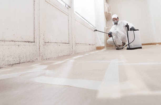 24/7 Emergency Mold Remediation experts in Maple Heights-Lake Desire, WA